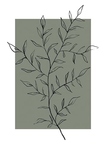 Poster Botanical Sketch No2