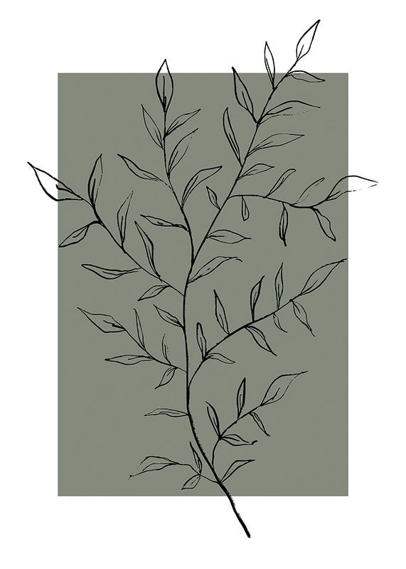 Line drawing twig with leaves against a muted green background-12