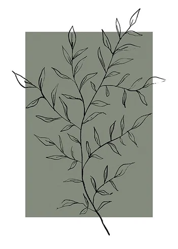 Poster Botanical Sketch No2