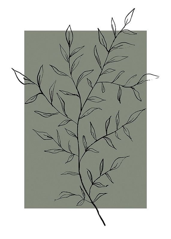Botanical Sketch No2-12