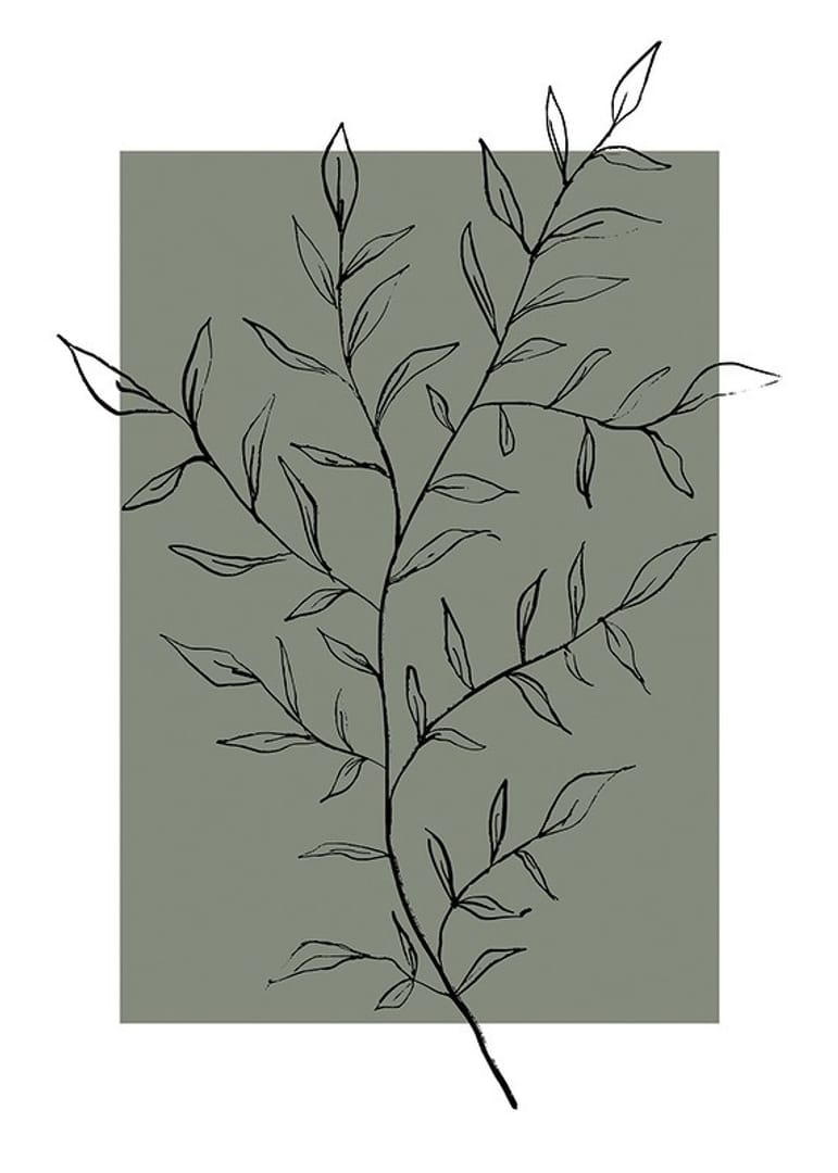 Botanical Sketch No2 Poster | Botanical | Gallerix.co.uk