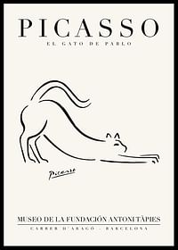 El Gato-0