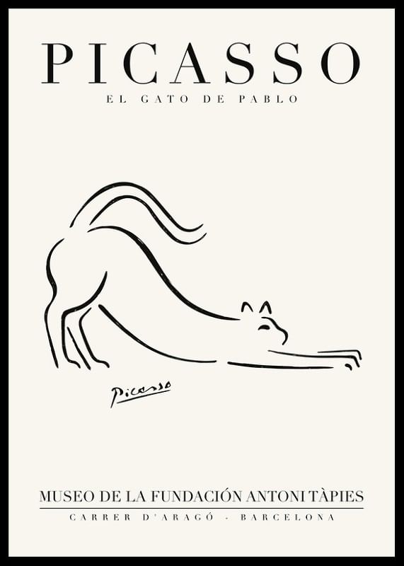 El Gato-12