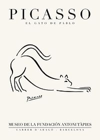 El Gato-1
