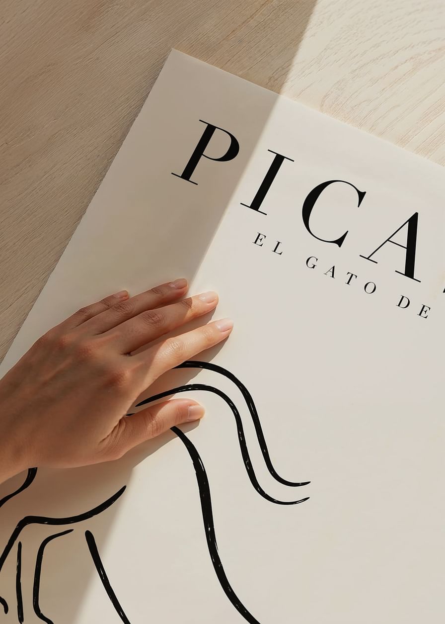 El Gato-12