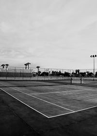 Svartvitt foto av tom tennisplan med linjer och palmträd-7