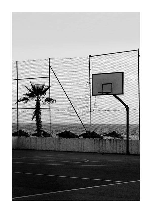 Plakāts Basketball Court