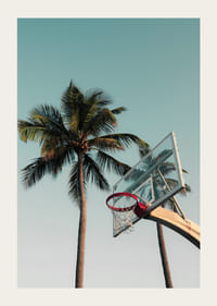 Fotografisk basketkorg med palmer mot blå himmel-3