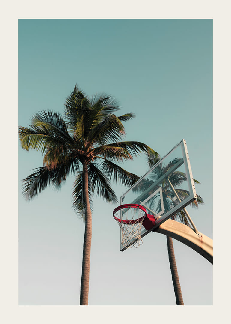 Fotografisk basketkorg med palmer mot blå himmel-12