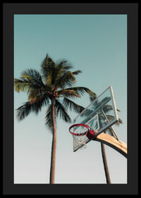 Fotografisk basketkorg med palmer mot blå himmel-4