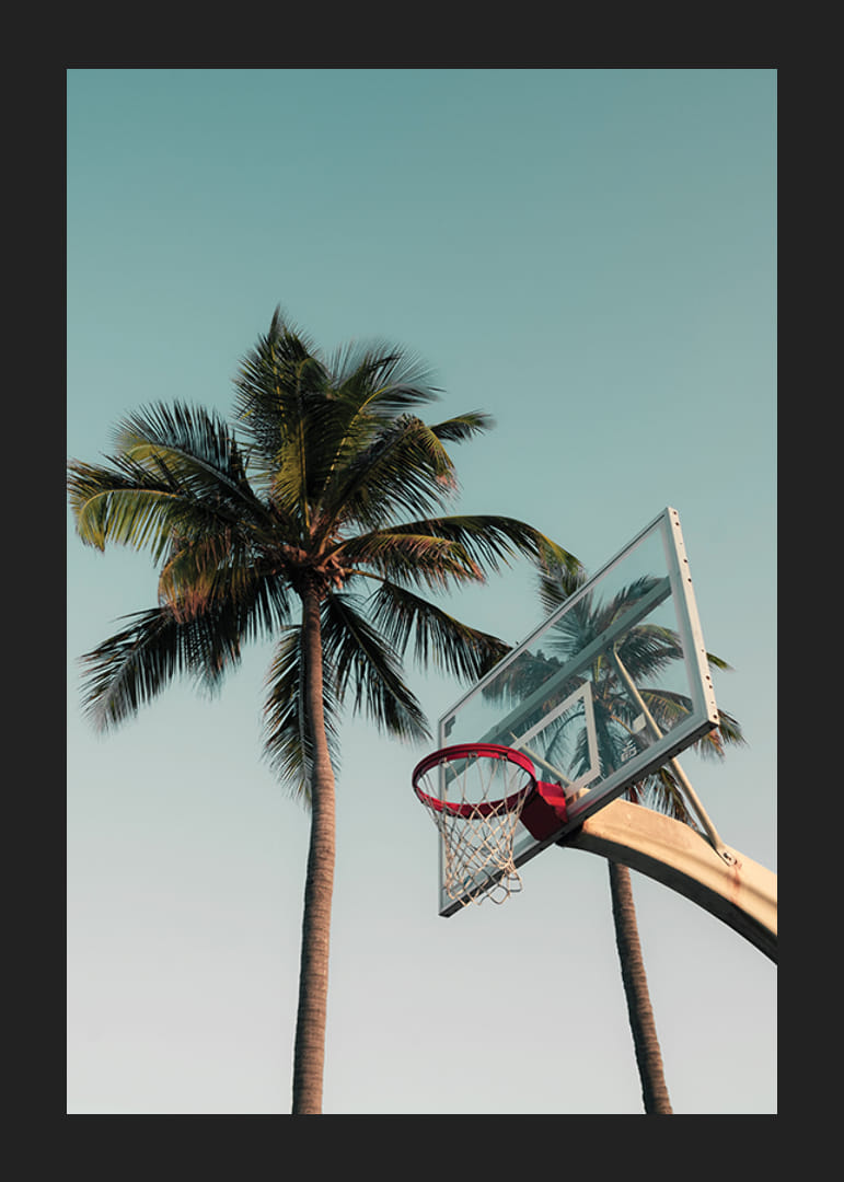 Fotografisk basketkorg med palmer mot blå himmel-12