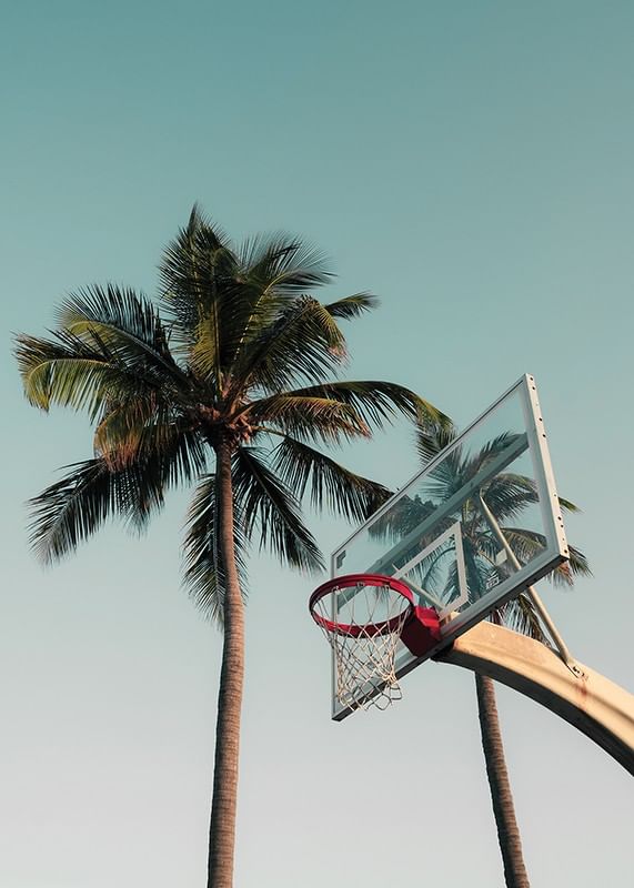 Basketball Hoop-12