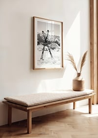 Black and white photo of crossed skis in snowy alpine landscape-8
