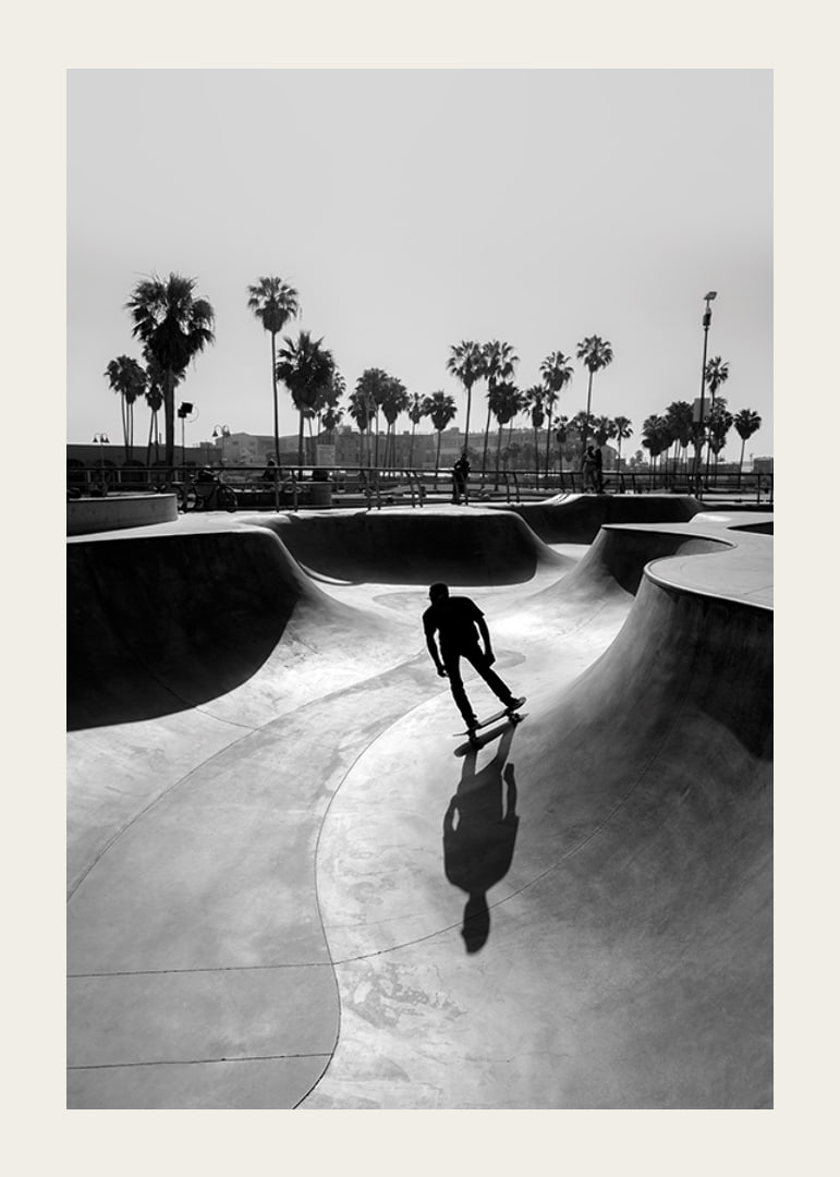 Black and white photograph of skateboarder in concrete park with palm trees-12