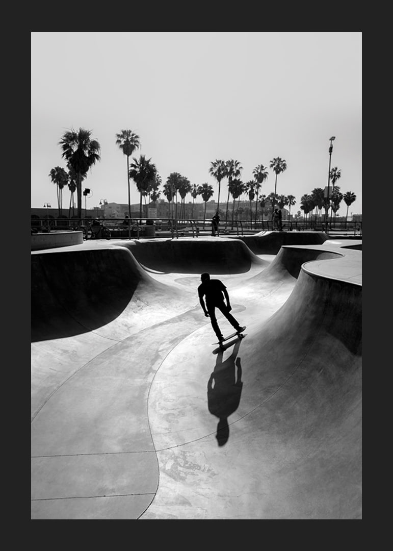 Black and white photograph of skateboarder in concrete park with palm trees-12