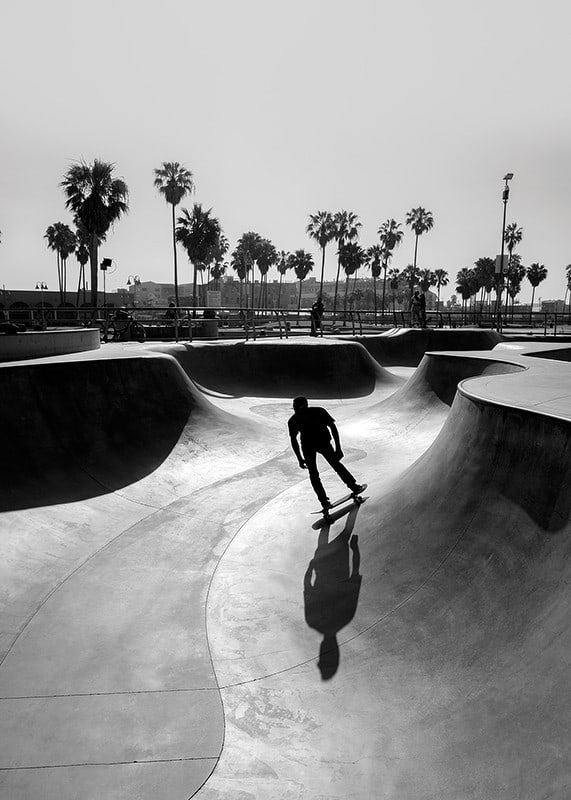Black and white photograph of skateboarder in concrete park with palm trees-12