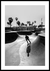 Black and white photograph of skateboarder in concrete park with palm trees-0
