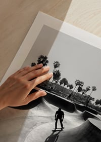 Black and white photograph of skateboarder in concrete park with palm trees-9