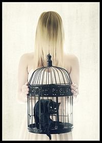 The Bad Black Cat-2