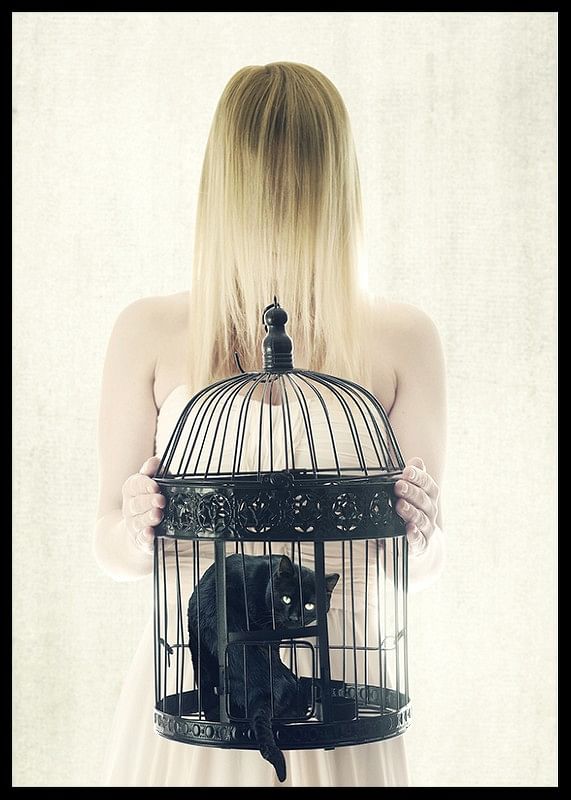 The Bad Black Cat-12