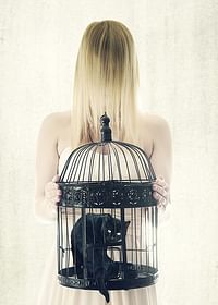 The Bad Black Cat-3