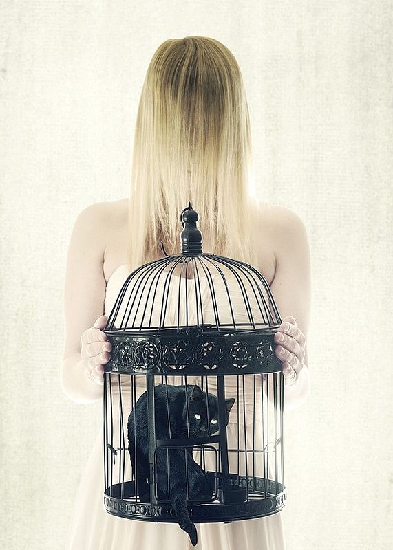The Bad Black Cat-12