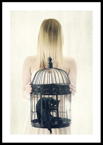 Plakāts The Bad Black Cat