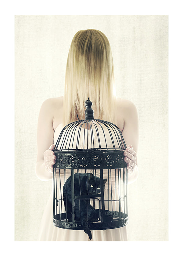 Plakāts The Bad Black Cat