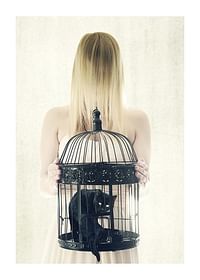 The Bad Black Cat-1