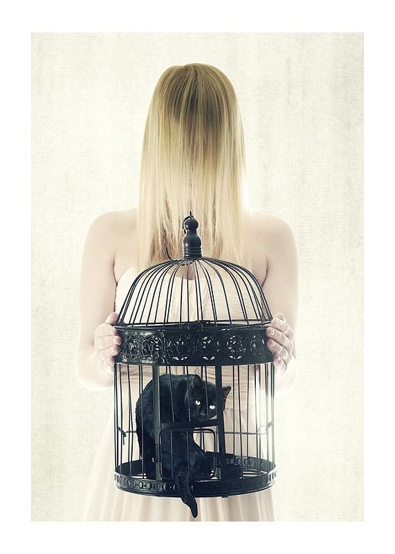 Poster The Bad Black Cat