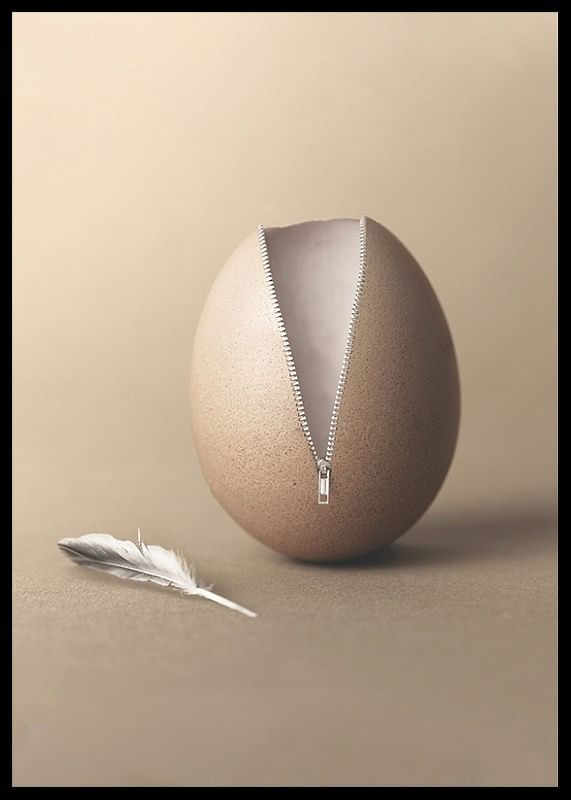 Unzipped Egg-12