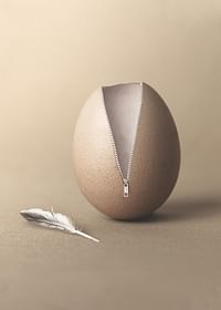Unzipped Egg-3