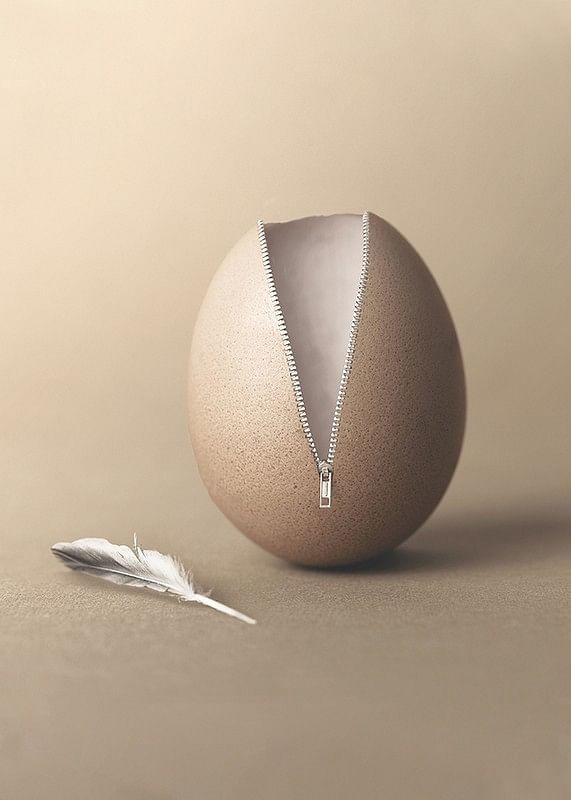 Unzipped Egg-12