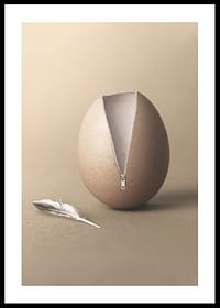Unzipped Egg-0