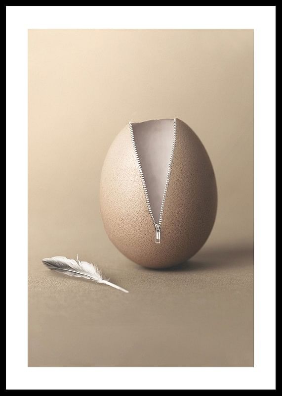 Unzipped Egg-12