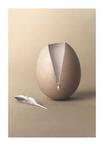 Plakat Unzipped Egg
