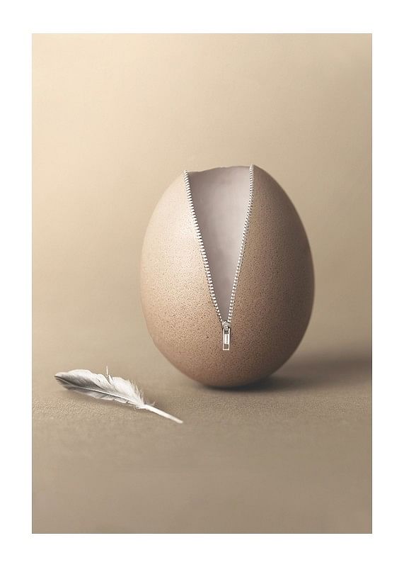 Poster Unzipped Egg