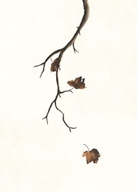 Watercolor of branch with brown autumn leaves against light background-7