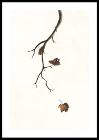 Watercolor of branch with brown autumn leaves against light background-0