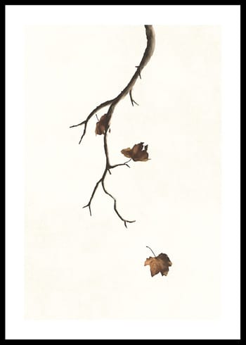 Plagát Autumn Leaves Falling