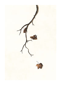 Watercolor of branch with brown autumn leaves against light background-1