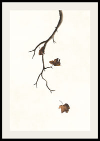 Watercolor of branch with brown autumn leaves against light background-2