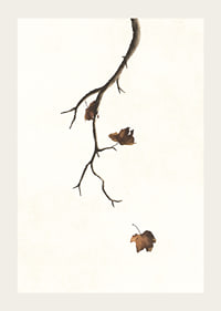 Watercolor of branch with brown autumn leaves against light background-3