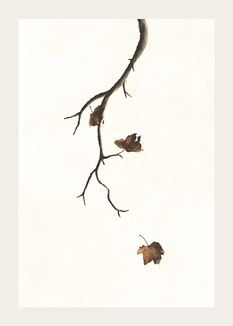 Watercolor of branch with brown autumn leaves against light background-12