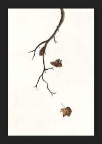 Watercolor of branch with brown autumn leaves against light background-5