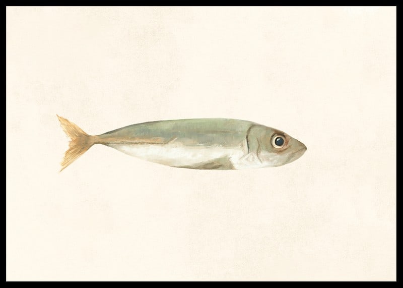 Illustrated sardine in muted colors on a light background-12