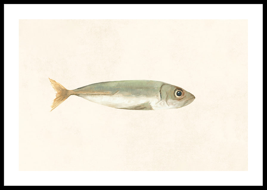 Illustrated sardine in muted colors on a light background-12