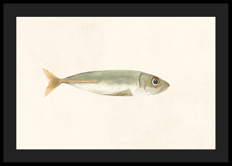 Illustrated sardine in muted colors on a light background-12