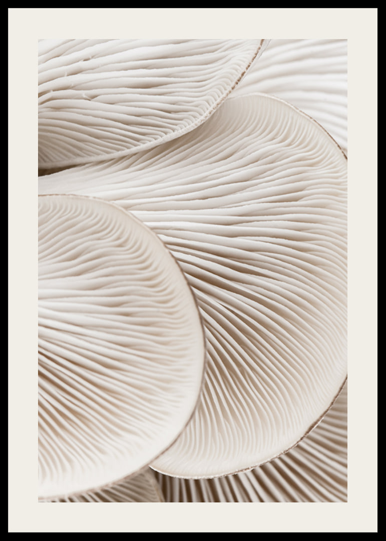 Photographic close-up of white mushroom trunks in soft tones-12