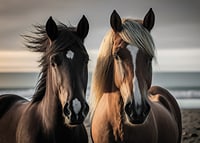 Fotografi av två bruna hästar vid havet i mjukt ljus-7